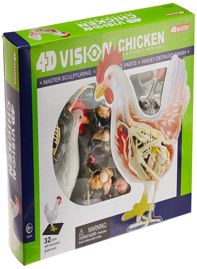 فور دي ماستر مجموعة نموذج هيكل عظمي وتشريحي للدجاج بتقنية 4D Master Vision، لون واحد - Image 2